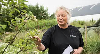 Marianne - medarbejder i Landbrugsstyrelsen