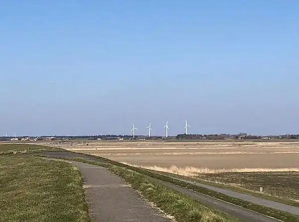 Omr&aring;det ved Margrethe Kog Nord