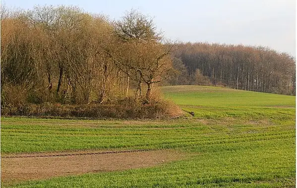 Omr&aring;det ved Svendborg