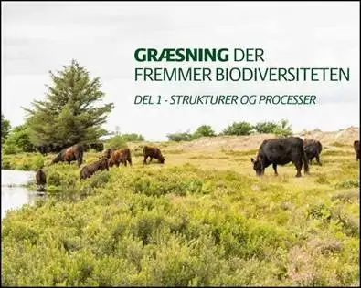 Illustrativt billede af folderen &quot;Gr&aelig;sning der fremmer biodiversiteten del 1 - strukturer og processer&quot;